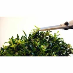 Okatsune 201 Bonsai-Schere Mittellange Klinge -Angebote Schneidwerkzeug Store 11335713 4