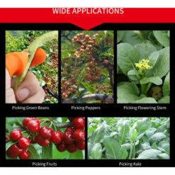 ASUPERMALL Stacheliges Pfefferhandschuh-Artefakt, Großes Kurzes Messer -Angebote Schneidwerkzeug Store 19194752 5