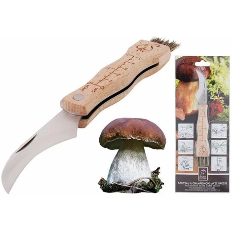 Esschert Design Pilzmesser Edelstahl Buchenholzgriff Pinsel Aus Schweineborsten 2 Esschert Design Pilzmesser Edelstahl Buchenholzgriff Pinsel Aus Schweineborsten – Bild 2