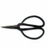 EXOTENHERZ Bonsai-Schere - 11cm Lang Schwarz