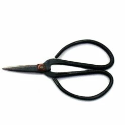 EXOTENHERZ Bonsai-Schere - 11cm Lang Schwarz
