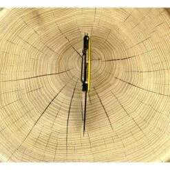 CAT CATERPILLAR Caterpillar Taschenmesser, Klappmesser Mit 5,4cm Drop-Point-Klinge Und Gürtelclip -Angebote Schneidwerkzeug Store 33159344 5