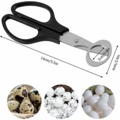 Wachteleier Schere 2 Stücke Edelstahl Wachteleierschere Küchenwerkzeug Eierschalenöffner Eierteiler Eieröffner Eierschalenöffner Schere Zum Öffnen Für Zuhause Küche Restaurant (black) SOEKAVIA -Angebote Schneidwerkzeug Store 37155250 3