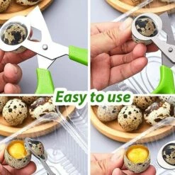 4 Stücke Wachteleier Schere, Edelstahl Wachteleierschere, Kleine Eierschere Wachteleier, Wachtel-Ei-Öffner, Küchenwerkzeug Eierschalenöffner, Für Zuhause, Restaurant, Küche (Grün) SOEKAVIA -Angebote Schneidwerkzeug Store 37155579 3