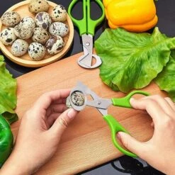 4 Stücke Wachteleier Schere, Edelstahl Wachteleierschere, Kleine Eierschere Wachteleier, Wachtel-Ei-Öffner, Küchenwerkzeug Eierschalenöffner, Für Zuhause, Restaurant, Küche (Grün) SOEKAVIA -Angebote Schneidwerkzeug Store 37155579 5