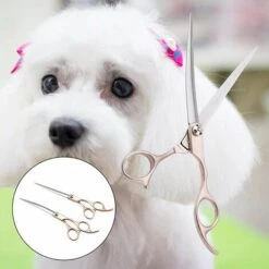 BARES Hundepflegeschere, 4 Stück Schere & Agrave; Goldgriff Professionelle Haustierpflege Friseurschere Scheren-Set Hinning Gerade Gebogene Schere -Angebote Schneidwerkzeug Store 39453750 4