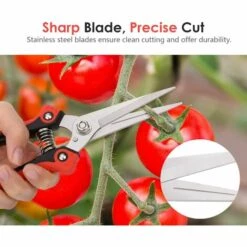 BARES Gartenschere Vatertagsgeschenke, Edelstahl Ultrascharfe Ultrascharfe Handschere Zum Ernten Von Obst Und Gemüse Im Garten, Schneiden Von Blumen, Schwarz Und Rot -Angebote Schneidwerkzeug Store 39455116 3