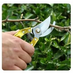 SUN FLOWERDE Mehrzweckschere Für Die Gartenarbeit Eingemachte Zweige Von Obstbäumen, Gartenschere Gartengeräte, 20mm Gartenschere (Gold) -Angebote Schneidwerkzeug Store 39473484 4