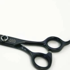 ATTILA. Gerade Ibanez-Schere. 19 Und 20,5 Cm. Gerade Ibanez Schere ATTILA 19 Cm. Für Hunde Und Katzen, Hundepflege 8 ATTILA. Gerade Ibanez-Schere. 19 Und 20,5 Cm. Gerade Ibanez Schere ATTILA 19 Cm. Für Hunde Und Katzen, Hundepflege -Angebote Schneidwerkzeug Store 39550938 4