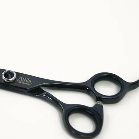 ATTILA. Gerade Ibanez-Schere. 19 Und 20,5 Cm. Gerade Ibanez Schere ATTILA 19 Cm. Für Hunde Und Katzen, Hundepflege 4 ATTILA. Gerade Ibanez-Schere. 19 Und 20,5 Cm. Gerade Ibanez Schere ATTILA 19 Cm. Für Hunde Und Katzen, Hundepflege – Bild 4