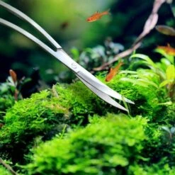 ECHOO Aquarienschere Mit Gebogenem Kopf Für Wasserpflanzen 24cm -Angebote Schneidwerkzeug Store 43453202 3