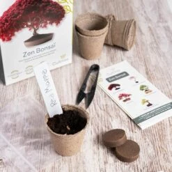 WEIHNACHTSGESCHENK Perle Rare 3 Bonsai-Scheren Aus Stahl, Bonsai-Werkzeug, Garten-Bonsai-Schere Für Die Pflege Ihrer Bonsais Und Pflanzen, Bonsai-Trimmen Und Beschneiden 7 WEIHNACHTSGESCHENK Perle Rare 3 Bonsai-Scheren Aus Stahl, Bonsai-Werkzeug, Garten-Bonsai-Schere Für Die Pflege Ihrer Bonsais Und Pflanzen, Bonsai-Trimmen Und Beschneiden -Angebote Schneidwerkzeug Store 51439570 3