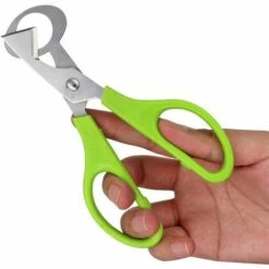 LANGRAY 2-teilige Wachtelschere, Eierschalen-Schneideschere, Edelstahl-Wachtel-Eierschalenschere Zum Schneiden Von Eiern, Wachteleiern Und Anderen Eiern -Angebote Schneidwerkzeug Store 52042422 4