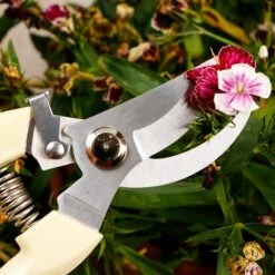 DONTODENT Rutschfeste Schneideschere Aus Edelstahl, Baumschneider, Gartenarbeit, Beschneiden, Schere, Heimschneidewerkzeuge - Gerade + Ellenbogenschere -Angebote Schneidwerkzeug Store 52577948 3