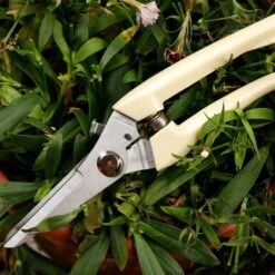 DONTODENT Rutschfeste Schneideschere Aus Edelstahl, Baumschneider, Gartenarbeit, Beschneiden, Schere, Heimschneidewerkzeuge - Gerade + Ellenbogenschere -Angebote Schneidwerkzeug Store 52577948 4