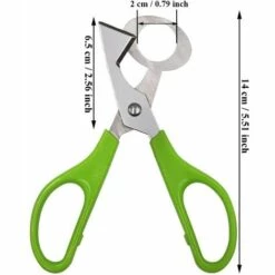 GDRHVFD 2 Stück Wachteleierschere, Wachteleierschere Aus Edelstahl, Kleine Eierschere, Wachteleiöffnerschere, Eierschalenöffner Aus Edelstahl Für Zuhause, Küche, Restaurant (Grün) -Angebote Schneidwerkzeug Store 53810748 4