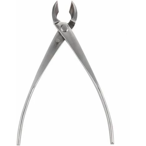 FUIENKO Astschneider, Professioneller Bonsai-Schneider Mit Runder Kante, Edelstahl, Garten-Aststecker, Bonsai-Werkzeuge, Knopfschnitt 2 FUIENKO Astschneider, Professioneller Bonsai-Schneider Mit Runder Kante, Edelstahl, Garten-Aststecker, Bonsai-Werkzeuge, Knopfschnitt – Bild 2