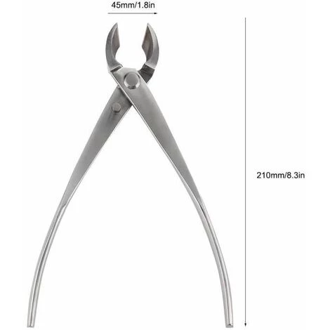 FUIENKO Astschneider, Professioneller Bonsai-Schneider Mit Runder Kante, Edelstahl, Garten-Aststecker, Bonsai-Werkzeuge, Knopfschnitt 4 FUIENKO Astschneider, Professioneller Bonsai-Schneider Mit Runder Kante, Edelstahl, Garten-Aststecker, Bonsai-Werkzeuge, Knopfschnitt – Bild 4