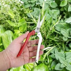 FUIENKO Garten-Heckenschere Zum Schneiden Von Grenzen Buchsbaum Und Sträuchern Heckenschere Schere Gartengerät -Angebote Schneidwerkzeug Store 56819363 3