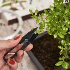 ILOVEMILAN Set Mit 3 Bonsai-Scheren – Bonsai-Werkzeug Aus Stahl – Gartenarbeit – Bonsai-Schere Für Die Pflege Ihrer Bonsais Und Pflanzen – Trimmen Und Beschneiden Von Bonsai 8 ILOVEMILAN Set Mit 3 Bonsai-Scheren – Bonsai-Werkzeug Aus Stahl – Gartenarbeit – Bonsai-Schere Für Die Pflege Ihrer Bonsais Und Pflanzen – Trimmen Und Beschneiden Von Bonsai -Angebote Schneidwerkzeug Store 61085984 4
