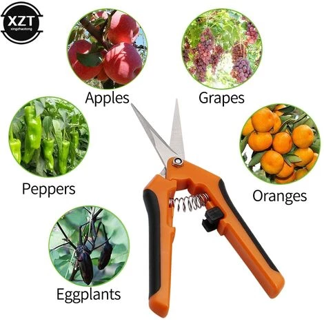 OCXIN Garten Werkzeuge Elektroschere Bonsai Schere Metall Gartenarbeit Schere Beschneiden Werkzeug Hand Cutter Obst Picking Unkraut Haushalts Topf (1PC) 2 OCXIN Garten Werkzeuge Elektroschere Bonsai Schere Metall Gartenarbeit Schere Beschneiden Werkzeug Hand Cutter Obst Picking Unkraut Haushalts Topf (1PC) – Bild 2