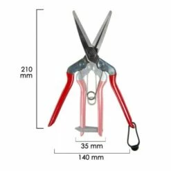 CHIKAMASA Tijeras Recolectora T 702 210 Mm. 6 CHIKAMASA Tijeras Recolectora T 702 210 Mm. -Angebote Schneidwerkzeug Store 63905973 3