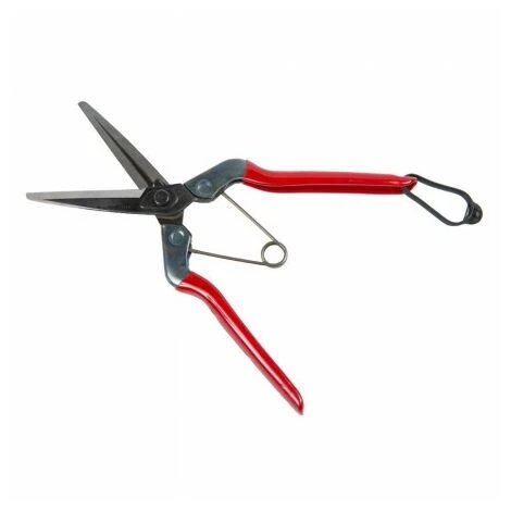 CHIKAMASA Tijeras Recolectora T 702 210 Mm. 4 CHIKAMASA Tijeras Recolectora T 702 210 Mm. – Bild 4