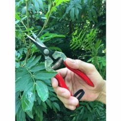 WERKZEUGE Blumenschere Für Bonsai-Pflanzen, Gartenfichte, 100 % Rostfreie Schere Für Floristen Und Gartenkolibri -Angebote Schneidwerkzeug Store 63914939 4