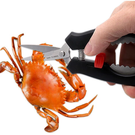 BF Küche Keks Shrimp Peeler Hummer Krabbenschale Bein Meeresfrüchte Schere 2 BF Küche Keks Shrimp Peeler Hummer Krabbenschale Bein Meeresfrüchte Schere – Bild 2