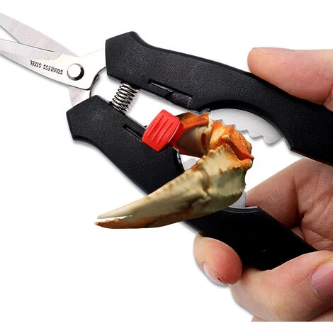 BF Küche Keks Shrimp Peeler Hummer Krabbenschale Bein Meeresfrüchte Schere 3 BF Küche Keks Shrimp Peeler Hummer Krabbenschale Bein Meeresfrüchte Schere – Bild 3