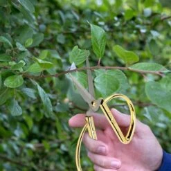 ILOVEMILAN Chinoiserie Dragon And Phoenix Chinesische Schere Edelstahlschere Nähschere, Vergoldete Schneiderschere Zum Nähen Von Haushaltshandwerk Bonsai-Küche -Angebote Schneidwerkzeug Store 64492326 5