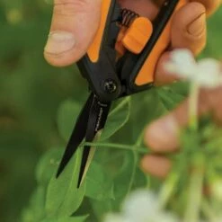 FISKARS® Solid™ Blumenschere PTFE SP131 -Angebote Schneidwerkzeug Store 64719299 3