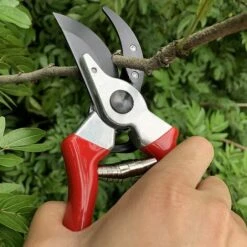 GDRHVFD Sharp Bewress Professional Demand Scissors (GPPS-1002), Baumplanungsclip, Griff, Gartenschere, Gartenschere. -Angebote Schneidwerkzeug Store 65670018 5