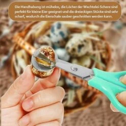 HEGUYEY 2 Stück Wachteleierschere, Edelstahl Wachteleier Schere, Wachtelei Schere, Eierschalen Schneidescheren, Eierteiler Eier Opener Für Zuhause, Küche, Restaurant (Blau) -Angebote Schneidwerkzeug Store 65792397 5