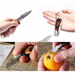 BENOBBY KIDS Klappmesser, Mini-Taschenmesser Für Damen Und Herren, Mini-Schlüsselbundmesser Zum Schneiden Von Seilen, Papier, Schachteln Und Obst Schälen, Kleines EDC-Messer -Angebote Schneidwerkzeug Store 67069348 2