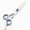 FUIENKO 6 Zoll Zahn Scher Flache Scher Barber Friseur Spezielle Dünne Scher Verdünnung Haarschnitt Friseur Werkzeug Friseur Messer,blue Cutting