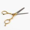 FUIENKO Golden Professional 6.0 Inch Stainless Steel Barber Hair Cutting Thinning Scissor Shears Hairdressing Set,teeth Scissors