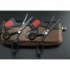 FUIENKO Schere Hair Professional 6 Zoll Schere Friseur Schere Barber Schere Gerade Dünner Werdendes Haar Schneiden Werkzeug,HJ-6B Set Bag