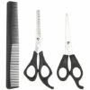 FUIENKO 3 Pcs Haar Schere Schneiden Schere Salon Professional Barber Haar Schneiden Verdünnung Friseur Styling Werkzeug Friseur Kamm,Black,Vereinigten Staaten