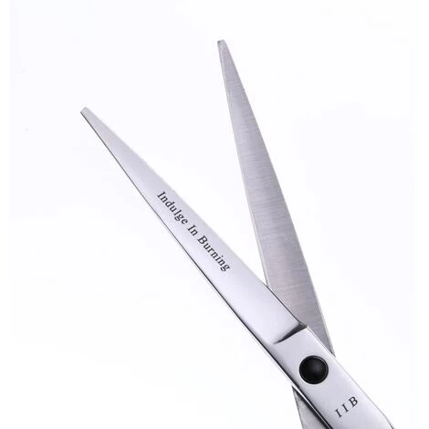 FUIENKO 7 Zoll Hundesalon Schere Professional Edelstahl Haar Schere Set Salon Schneiden Friseur Scheren Klinge Werkzeuge,1 Pcs 4 FUIENKO 7 Zoll Hundesalon Schere Professional Edelstahl Haar Schere Set Salon Schneiden Friseur Scheren Klinge Werkzeuge,1 Pcs – Bild 4