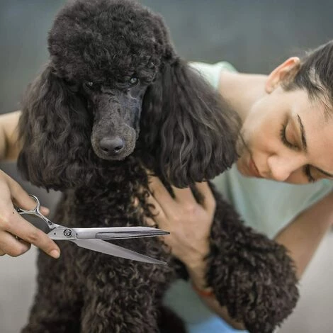 FUIENKO FnLune 8,0 Zoll VG-10 Professional Hair Salon Schere Cut Barber Werkzeuge Haarschnitt Scher Friseur Schere Für Menschen Für Haustiere,FnLune,CHINA 5 FUIENKO FnLune 8,0 Zoll VG-10 Professional Hair Salon Schere Cut Barber Werkzeuge Haarschnitt Scher Friseur Schere Für Menschen Für Haustiere,FnLune,CHINA – Bild 5