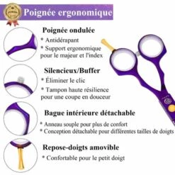 BF 1 Professionelles Friseurscheren-Set Lila Kamm Stahl Rasierer Friseurschere Ausdünnung Haarschnitt Pony Friseur -Angebote Schneidwerkzeug Store 67420657 4