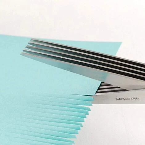 ILOVEMILAN Kräuterschere, 5-Klingen-Kräuterschere Kräuterschere Für Kräuter Mit Reinigungskamm 4 ILOVEMILAN Kräuterschere, 5-Klingen-Kräuterschere Kräuterschere Für Kräuter Mit Reinigungskamm – Bild 4