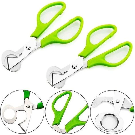 PERLE RARE 2 Stück Wachtelschere, Eierschere Aus Edelstahl, Eierschere Für Wachteleier, Vogeleierschere, Eierschere Aus Edelstahl, Eierschneider 2 PERLE RARE 2 Stück Wachtelschere, Eierschere Aus Edelstahl, Eierschere Für Wachteleier, Vogeleierschere, Eierschere Aus Edelstahl, Eierschneider – Bild 2