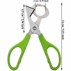 PERLE RARE 2 Stück Wachtelschere, Eierschere Aus Edelstahl, Eierschere Für Wachteleier, Vogeleierschere, Eierschere Aus Edelstahl, Eierschneider 7 PERLE RARE 2 Stück Wachtelschere, Eierschere Aus Edelstahl, Eierschere Für Wachteleier, Vogeleierschere, Eierschere Aus Edelstahl, Eierschneider -Angebote Schneidwerkzeug Store 67816357 3