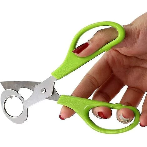 PERLE RARE 2 Stück Wachtelschere, Eierschere Aus Edelstahl, Eierschere Für Wachteleier, Vogeleierschere, Eierschere Aus Edelstahl, Eierschneider 4 PERLE RARE 2 Stück Wachtelschere, Eierschere Aus Edelstahl, Eierschere Für Wachteleier, Vogeleierschere, Eierschere Aus Edelstahl, Eierschneider – Bild 4