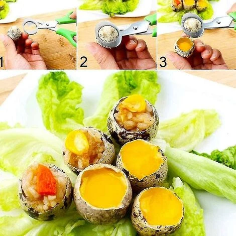 PERLE RARE 2 Stück Wachtelschere, Eierschere Aus Edelstahl, Eierschere Für Wachteleier, Vogeleierschere, Eierschere Aus Edelstahl, Eierschneider 5 PERLE RARE 2 Stück Wachtelschere, Eierschere Aus Edelstahl, Eierschere Für Wachteleier, Vogeleierschere, Eierschere Aus Edelstahl, Eierschneider – Bild 5